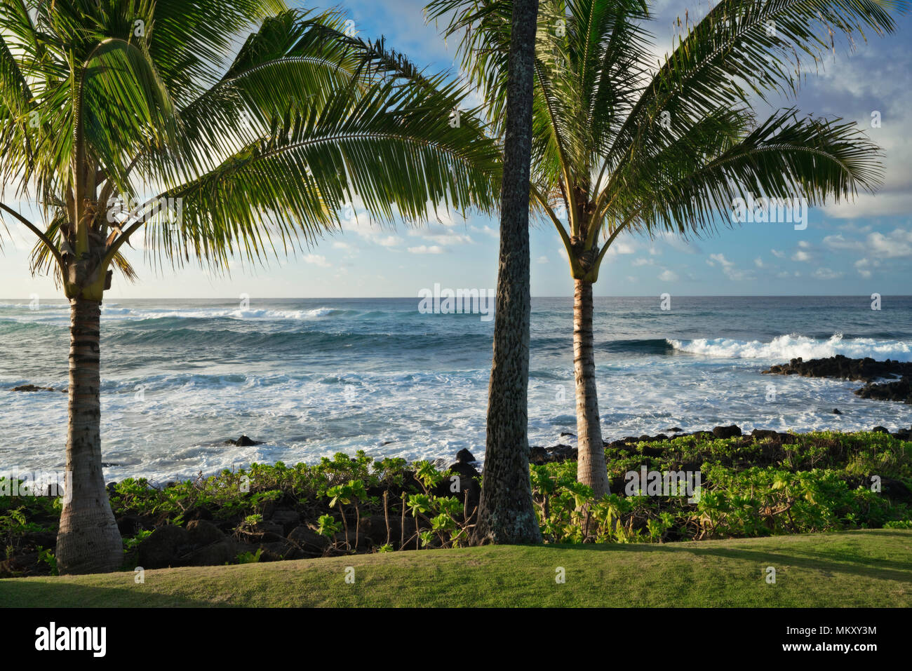A view of paradise along Poipu’s South Shore on Hawaii’s Island of Kauai. Stock Photo