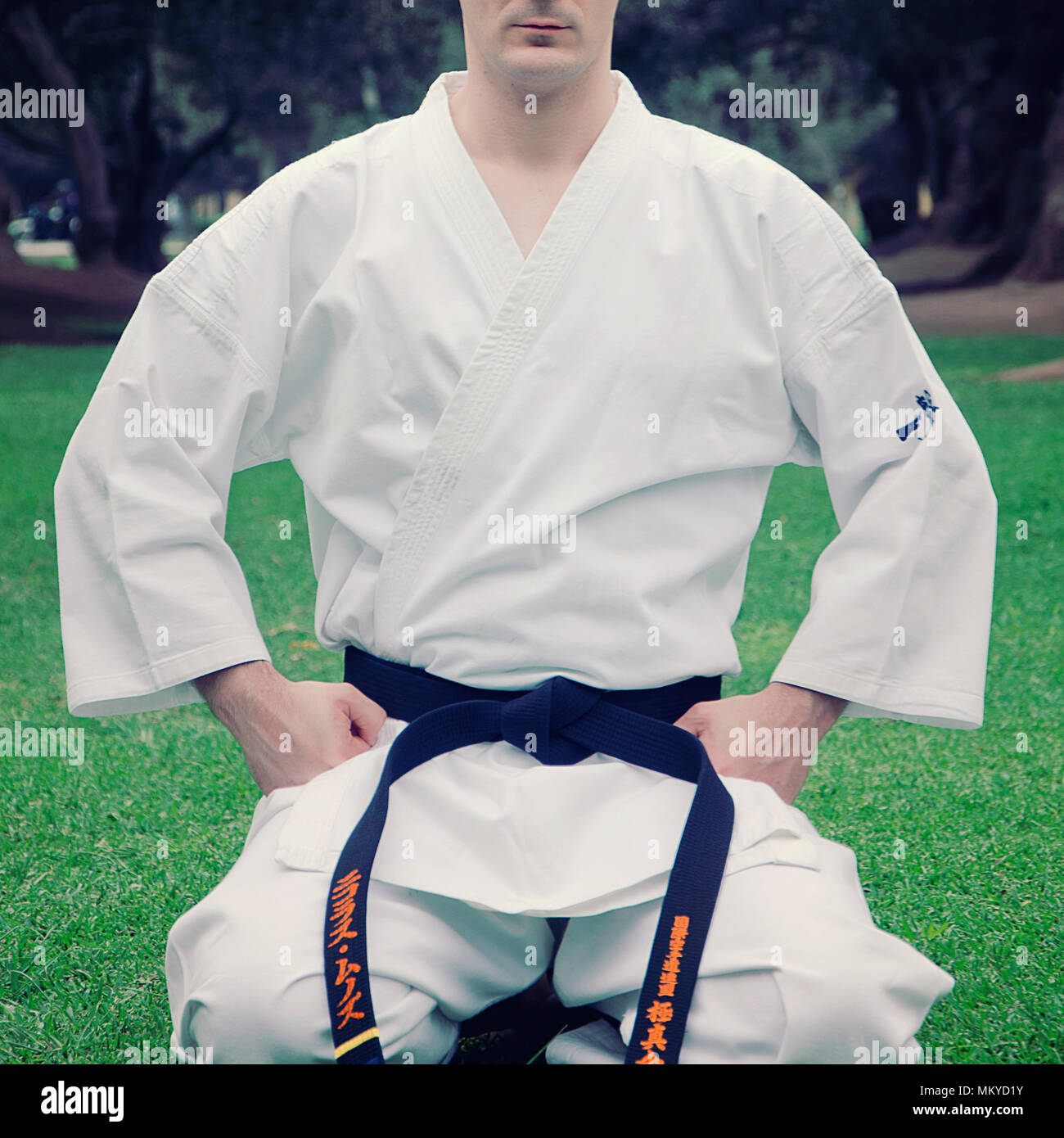 Sportsman martial art karate training Stock Photo Alamy