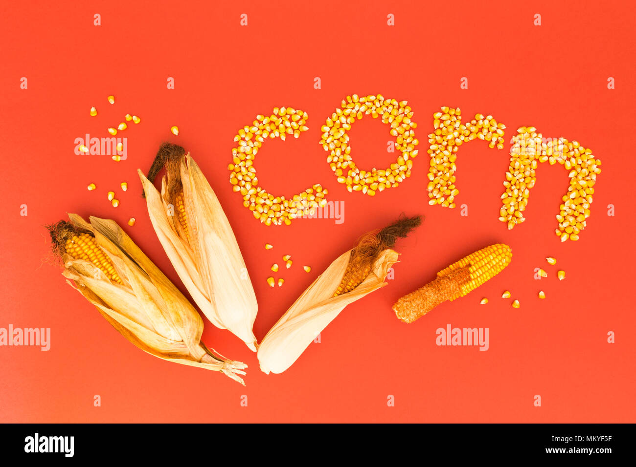 Concept of the word corn in english language formed with dry corn seeds on red background and decorated with golden corn cobs and dry corn seeds Stock Photo