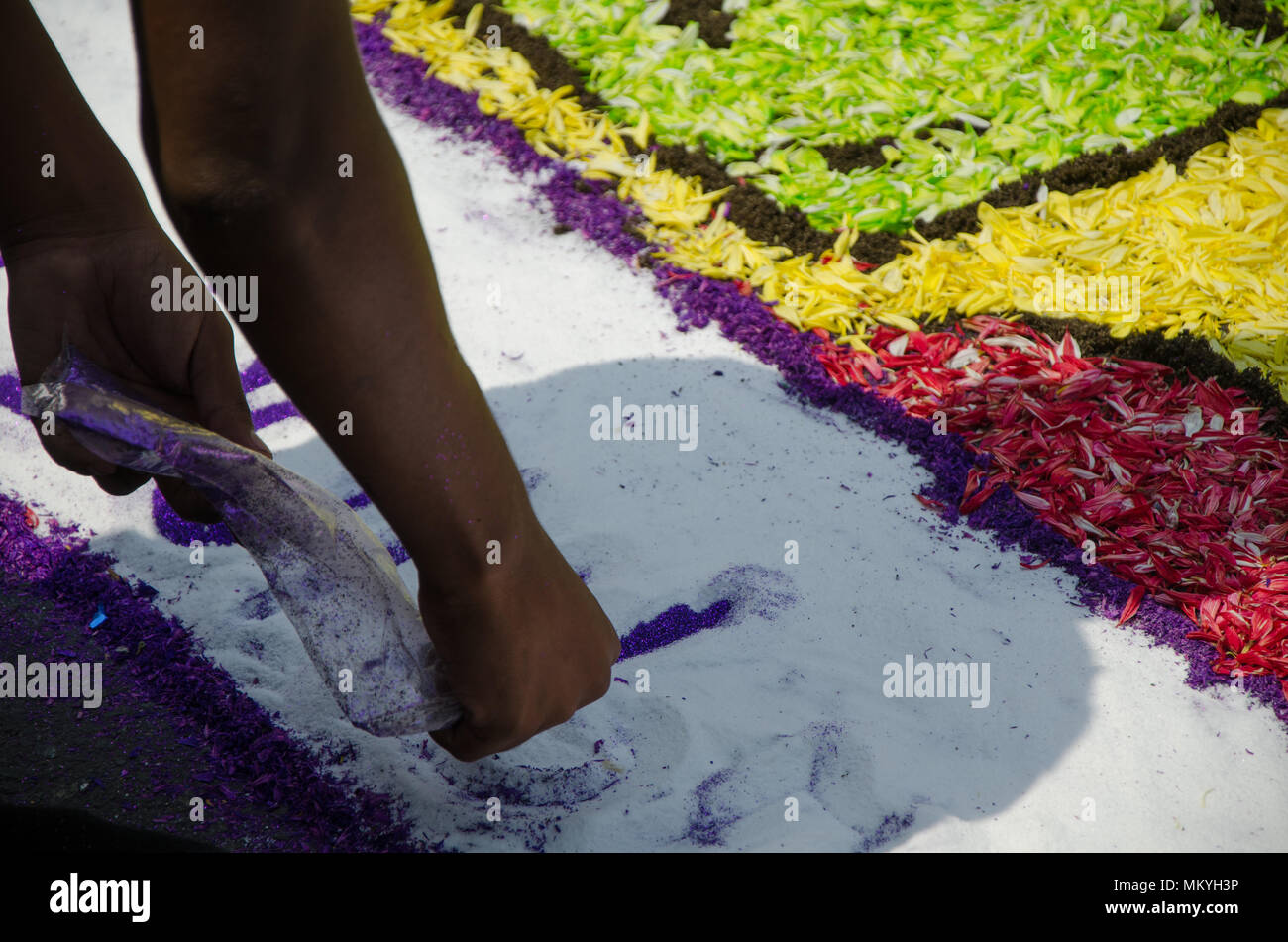 Preparation of floral carpets in the Holy Week or Easter Week Stock Photo
