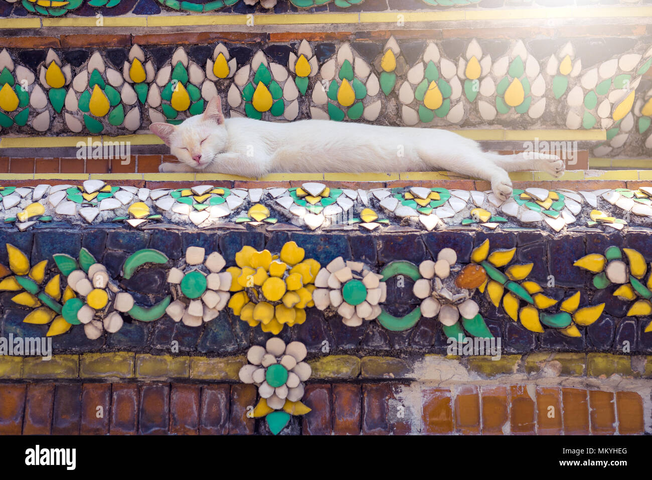 Cat sleeping on Pagoda in Buddhist temple in Thailand Stock Photo
