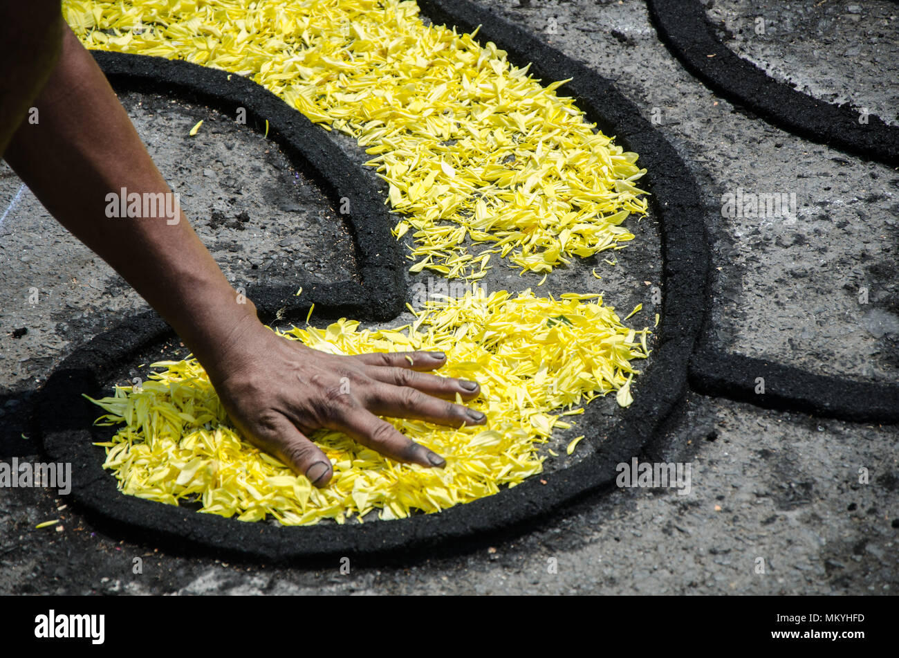 Preparation of floral carpets in the Holy Week or Easter Week Stock Photo