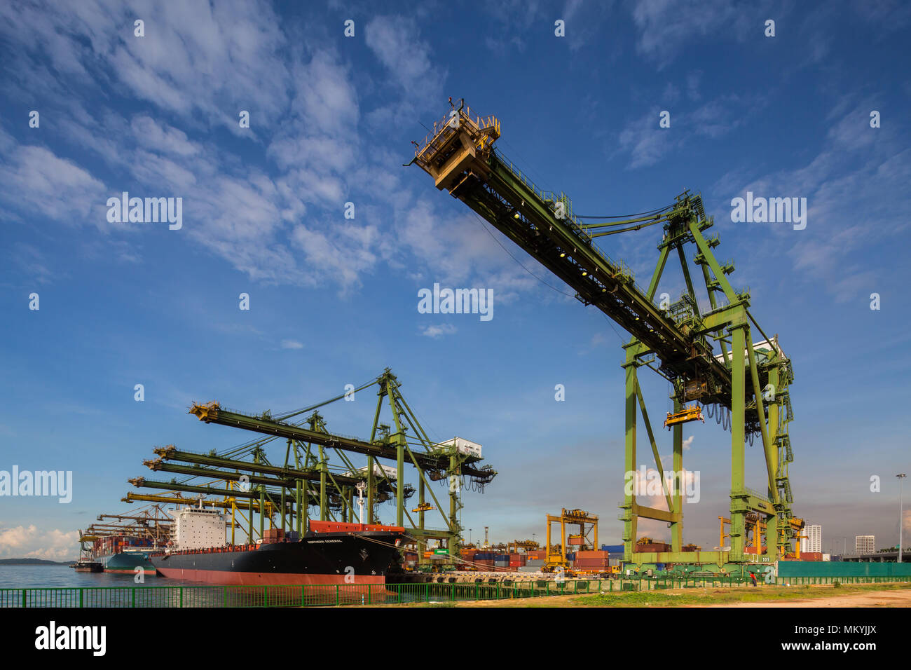 Close up of the container cranes during lifting process Stock Photo