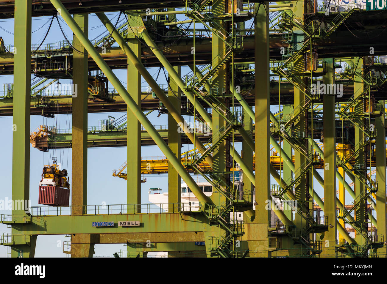Close up view of the container cranes in lifting process Stock Photo