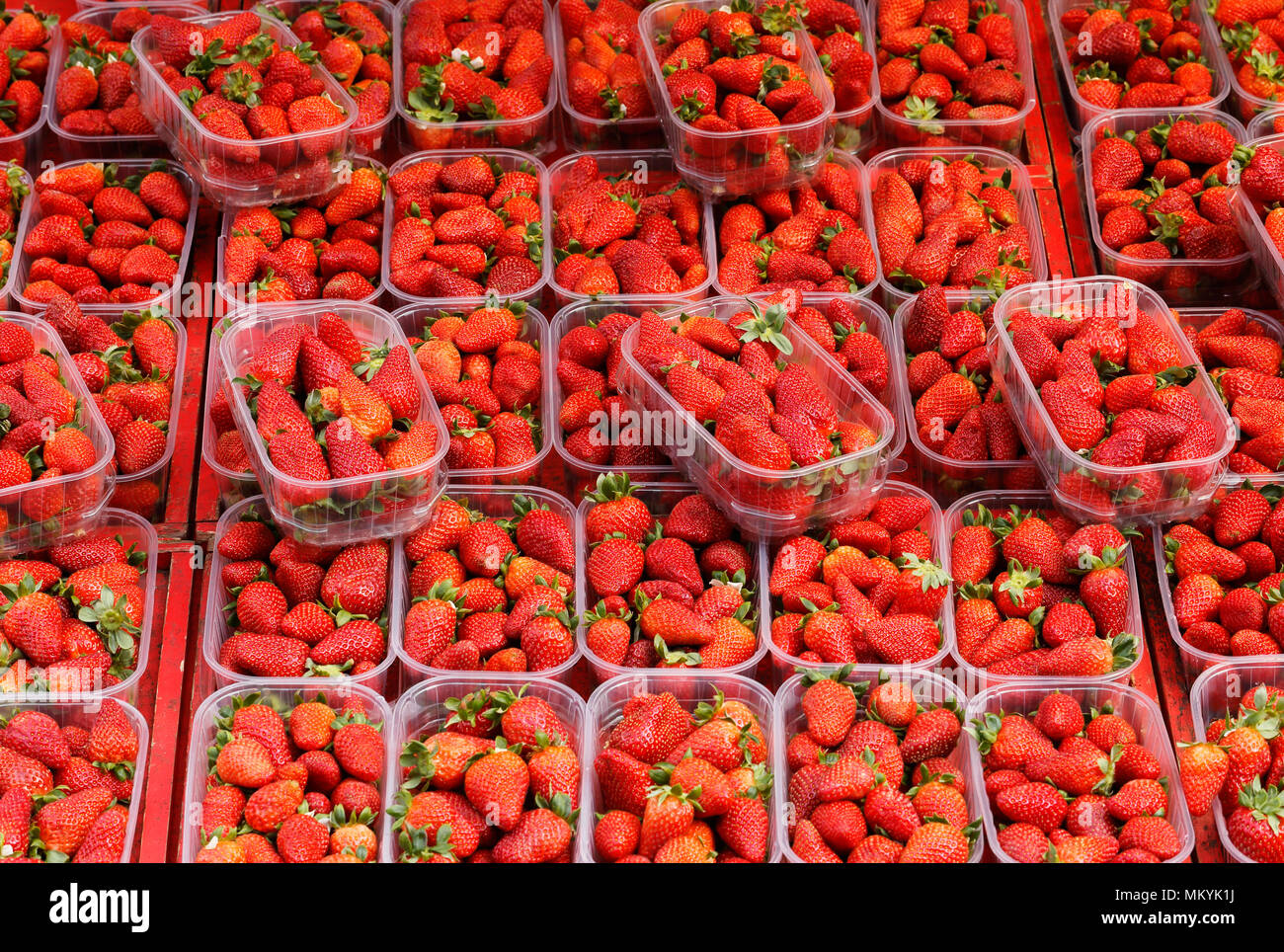 A full framed background with boxes filled with strawberries for sale at the farmers market. Stock Photo