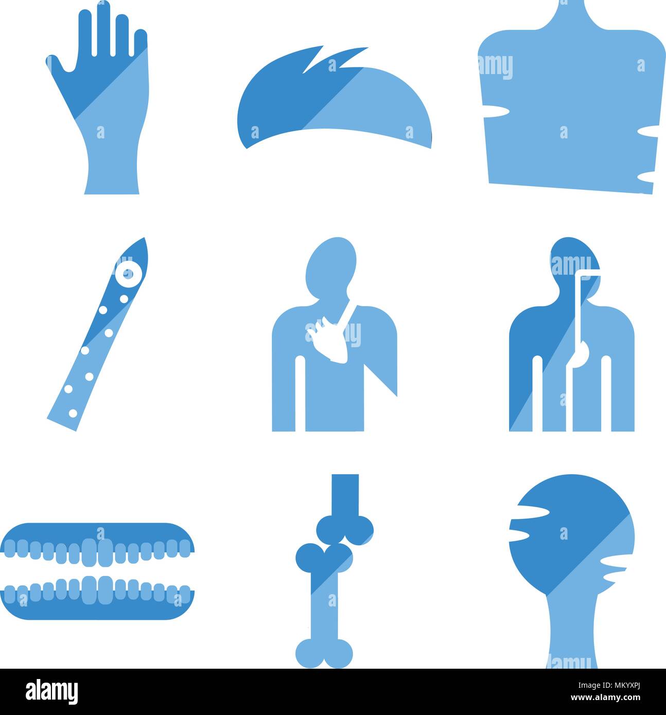 Set Of 9 Simple Editable Icons Such As Human Head Bones Joint