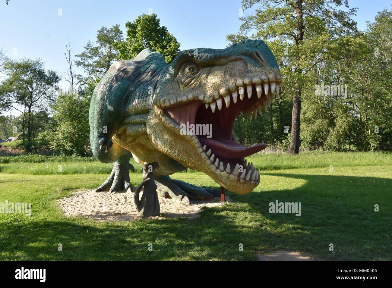 Tyranozaur hi-res stock photography and images - Alamy