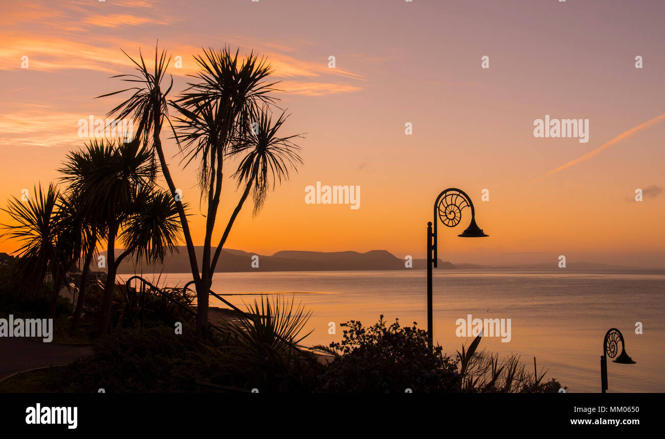 Lyme Regis, Dorset, UK. 9th May 2018. UK Weather: The iconic street lamps and trees are silhouetted against the orange glow of the sky as the sun rises over the Jurassic Coast in Lyme Regis on another fine and sunny morning.  Cooler weather later will bring and end to the heat wave that many have enjoyed this week. Credit: Celia McMahon/Alamy Live News. Stock Photo