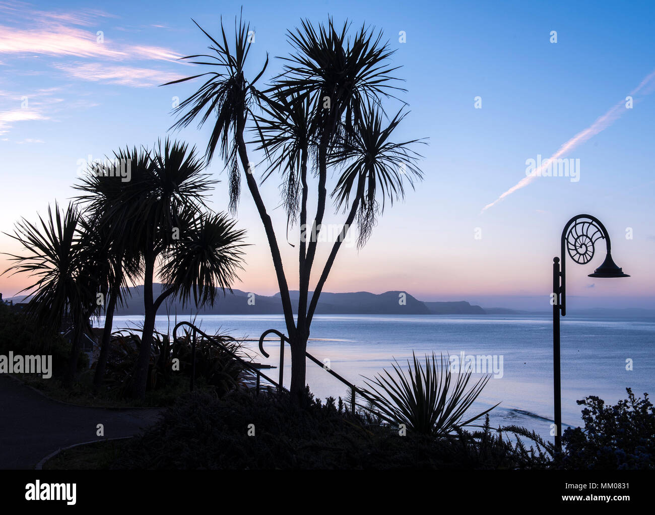 Lyme Regis, Dorset, UK. 9th May 2018. UK Weather: The iconic street lamps and trees are silhouetted against the blue hue and pre dawn colours in the sky over the Jurassic Coast at Lyme Regis.  Cooler weather later will bring and end to the heat wave that many have enjoyed this week. Credit: Celia McMahon/Alamy Live News. Stock Photo