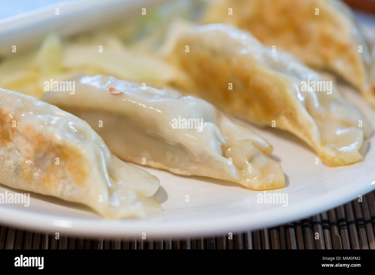 Plate of pork and vegetable Chinese potsticker dumplings with ginger