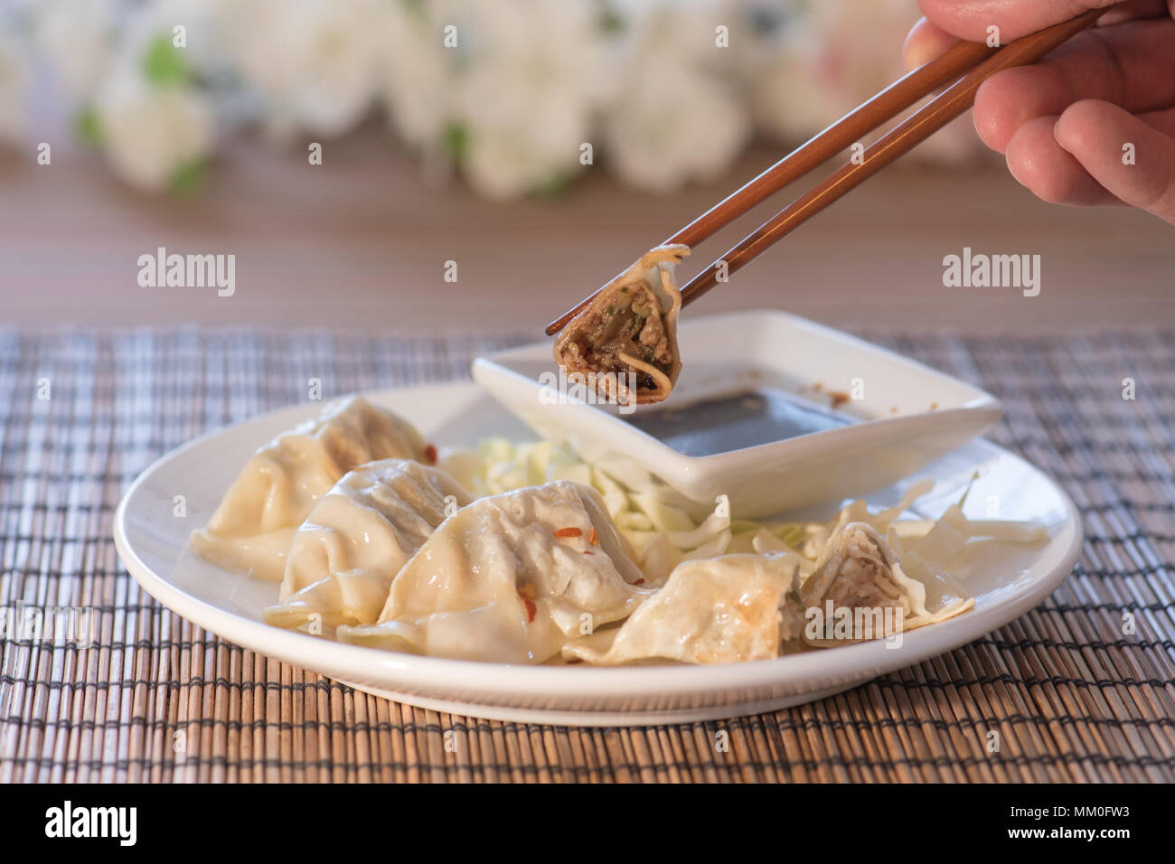 Will asian ginger dipping sauce for dumplings consider, that Asian ginger dipping sauce for dumplings really