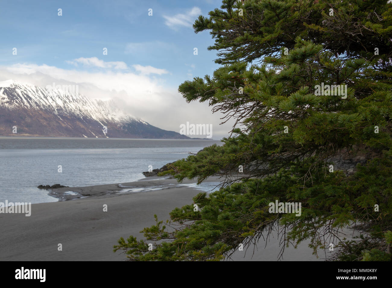 Turnagain Arm, Tidal Flats, Trees, Mountains and Water. Near Hope, Alaska. Rocky Shoreline. Snow capped Chugach Mountains. Kenai Peninsula Windy Point Stock Photo