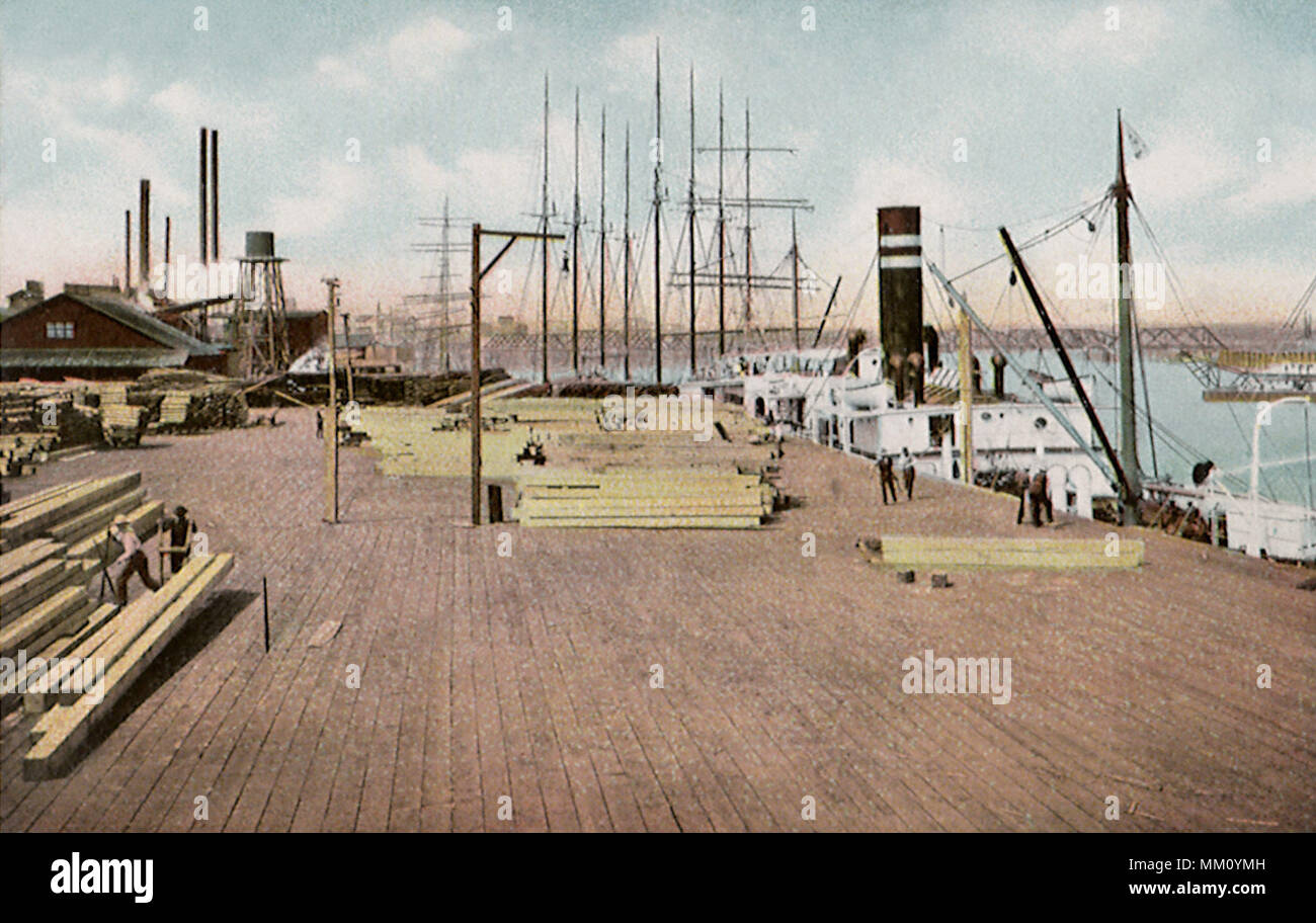 Beaver lumber hires stock photography and images Alamy