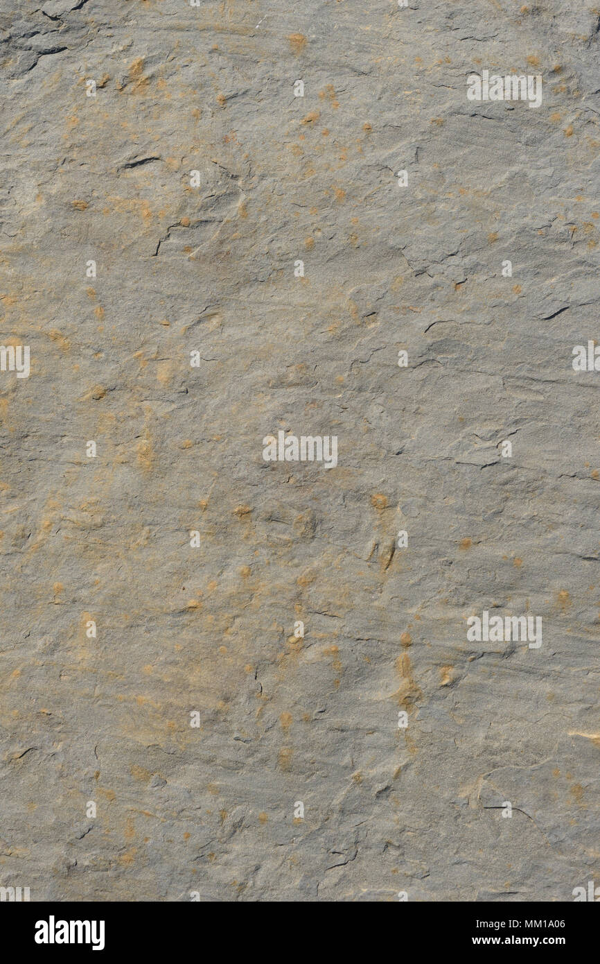 Dark grey black slate background or texture. Stock Photo