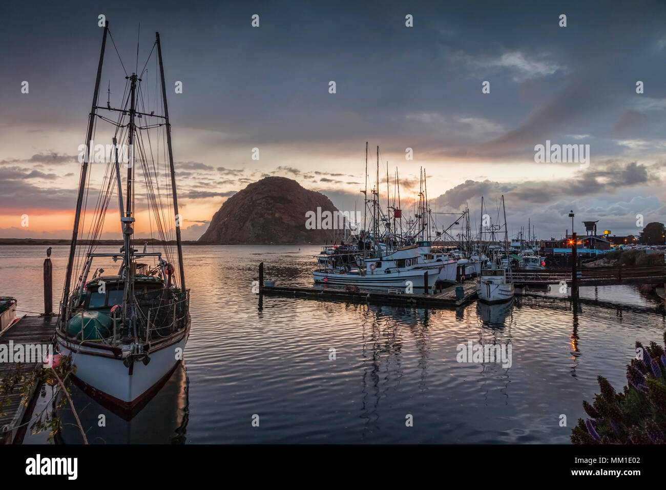Evening at the harbour of Morro Bay, California. Stock Photo