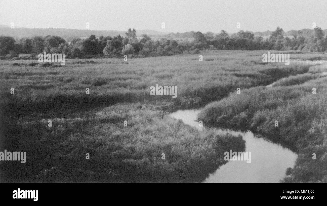Quinnipiac Marshes. North Haven. 1950 Stock Photo