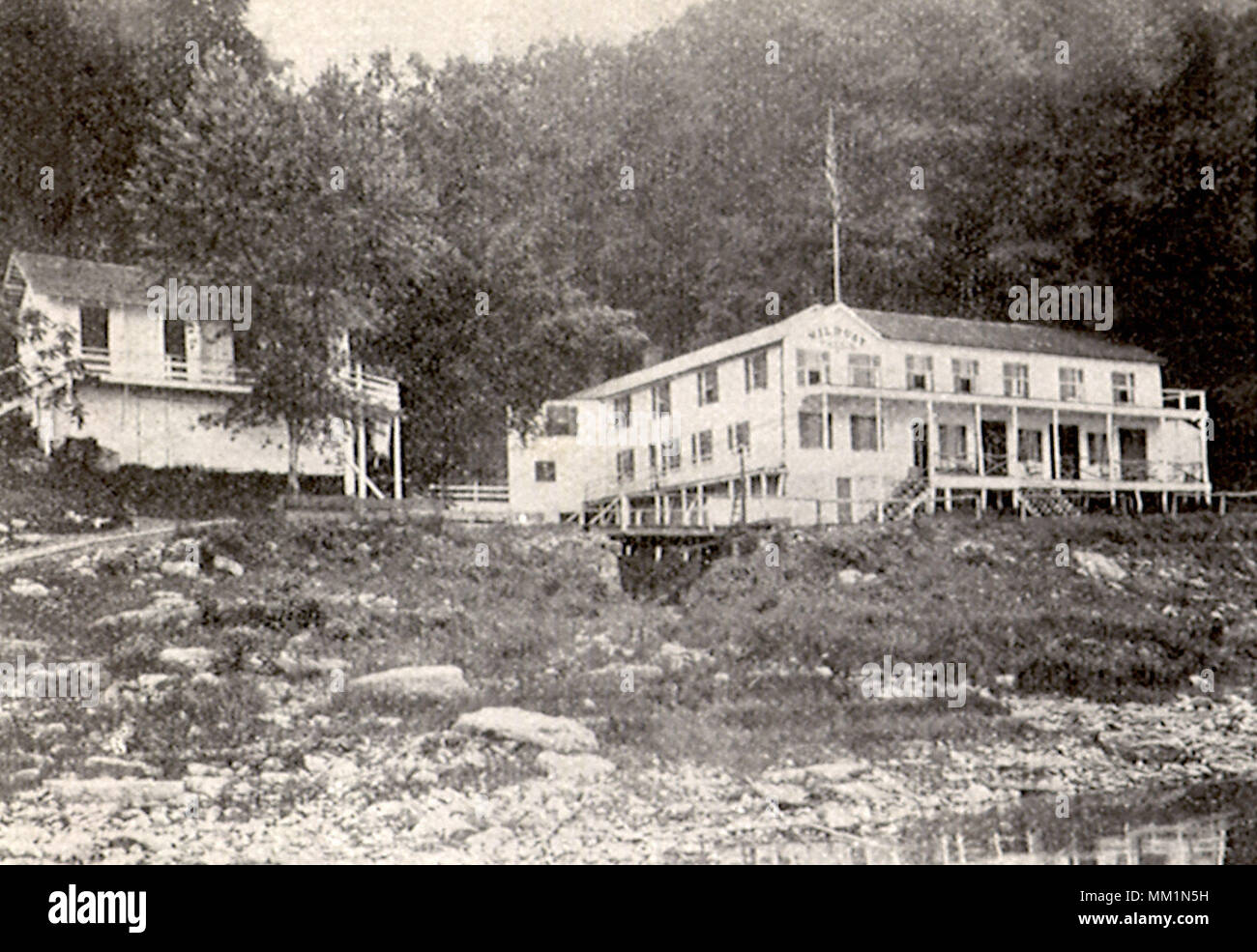 Wild Cat Building. Wild Cat. 1910 Stock Photo