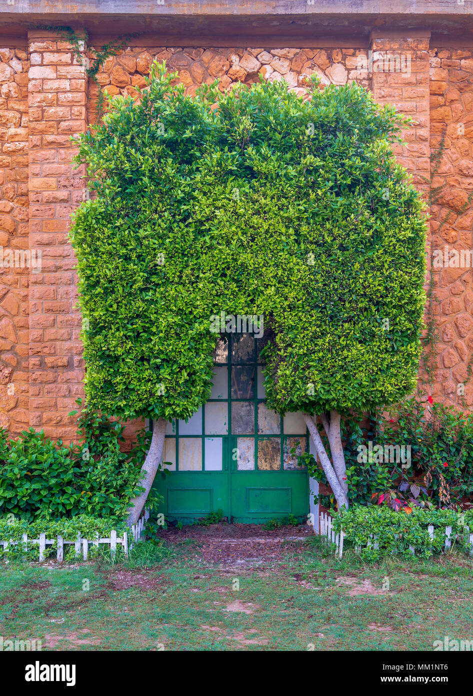 Orange Colored Bricks Stone Wall With Grunge Green Metal Grid Door