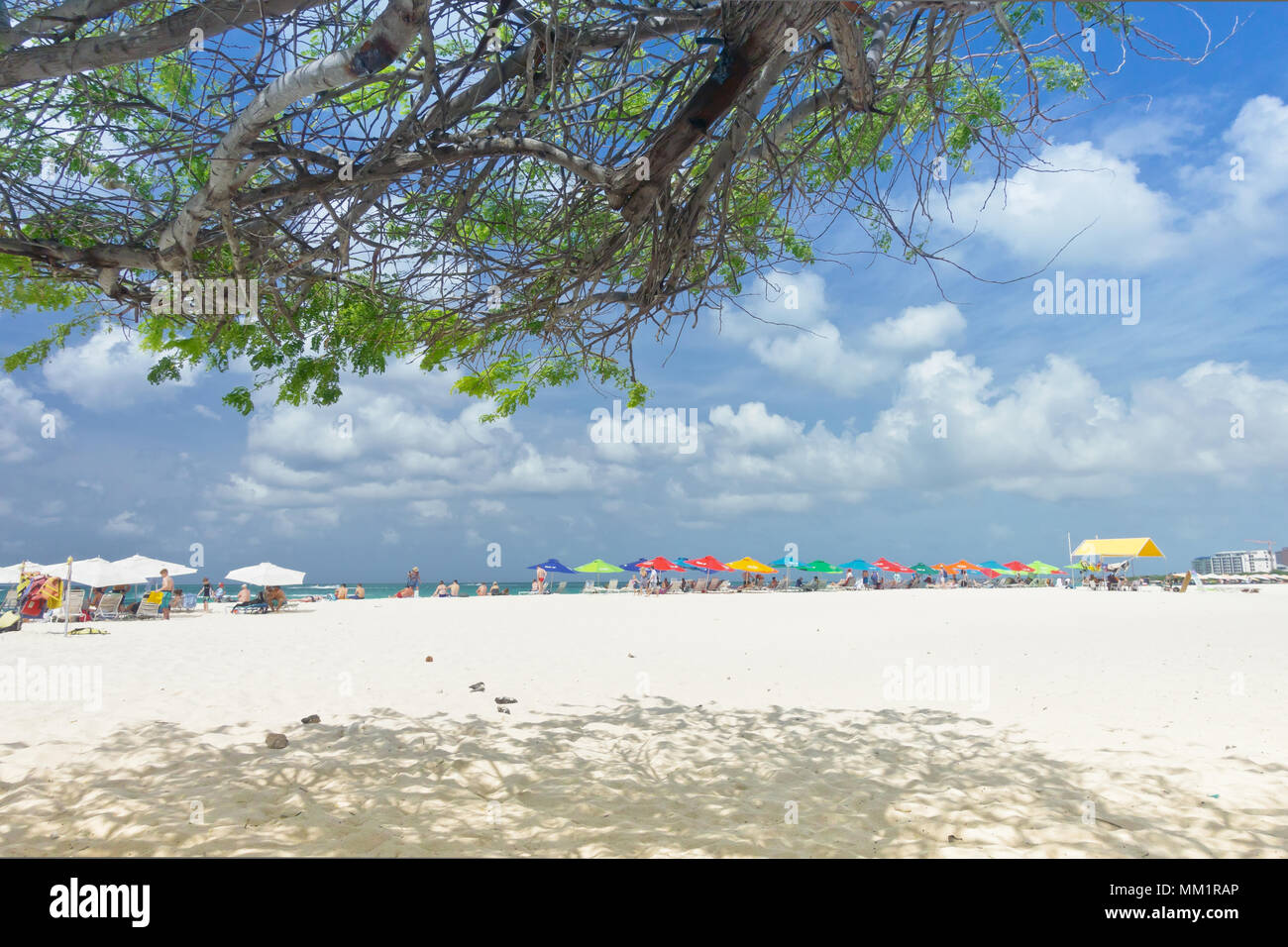 Eagle beach aruba hi-res stock photography and images - Alamy