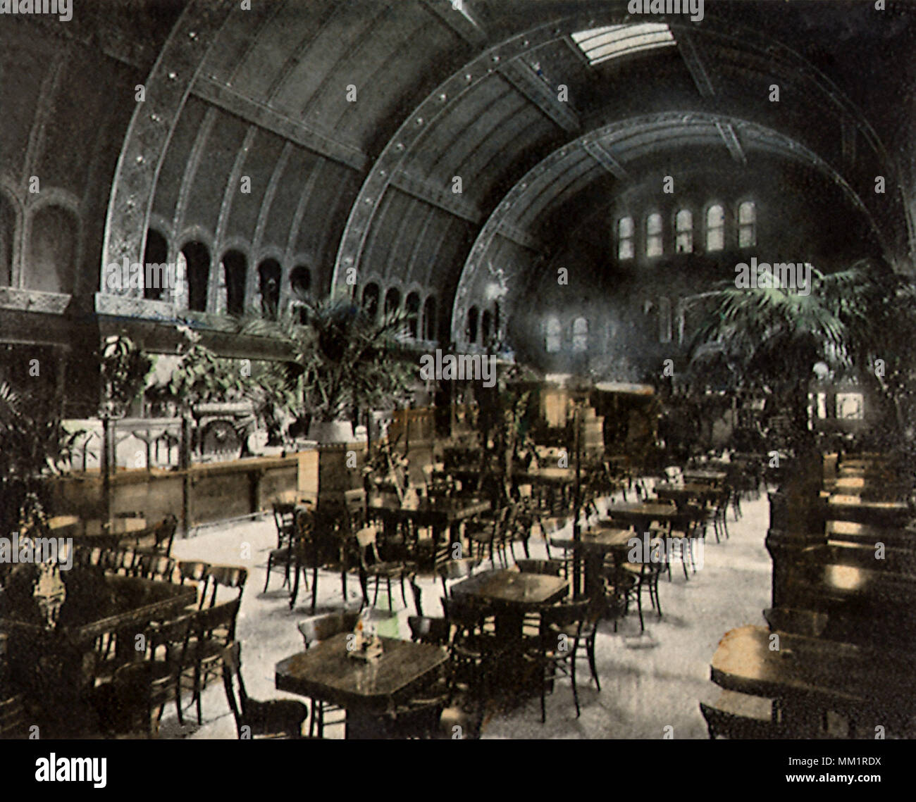 Interior of the Schlitz Palm Garden. Milwaukee.1905 Stock Photo