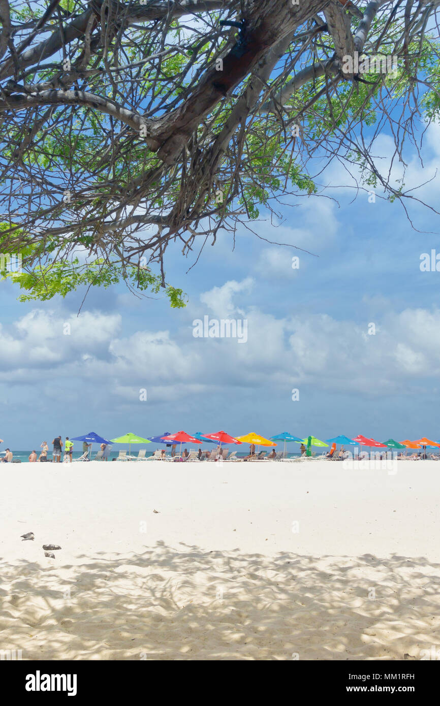 Eagle beach aruba hi-res stock photography and images - Alamy
