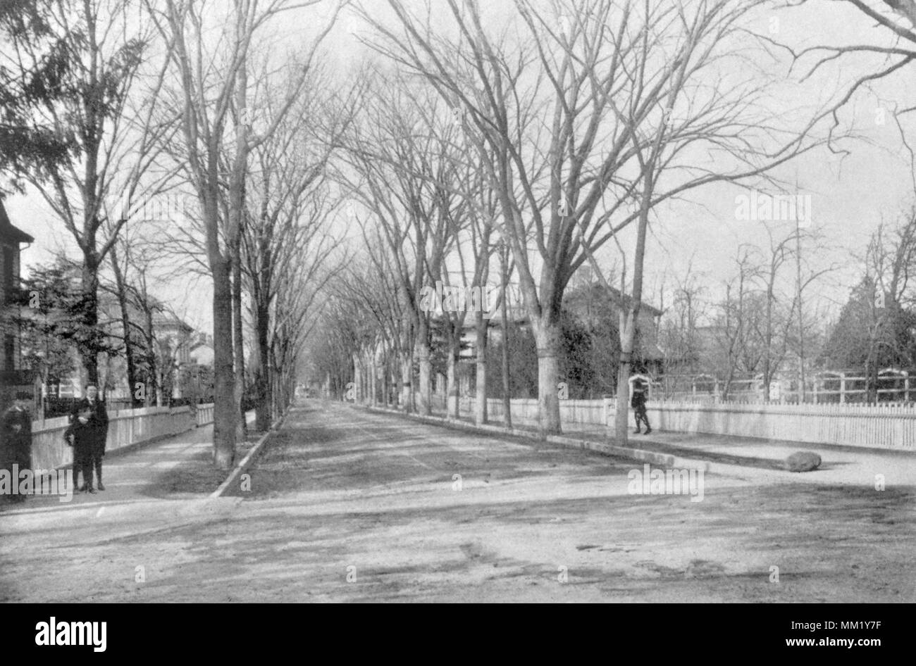 Summer Street. Stamford. 1892 Stock Photo Alamy