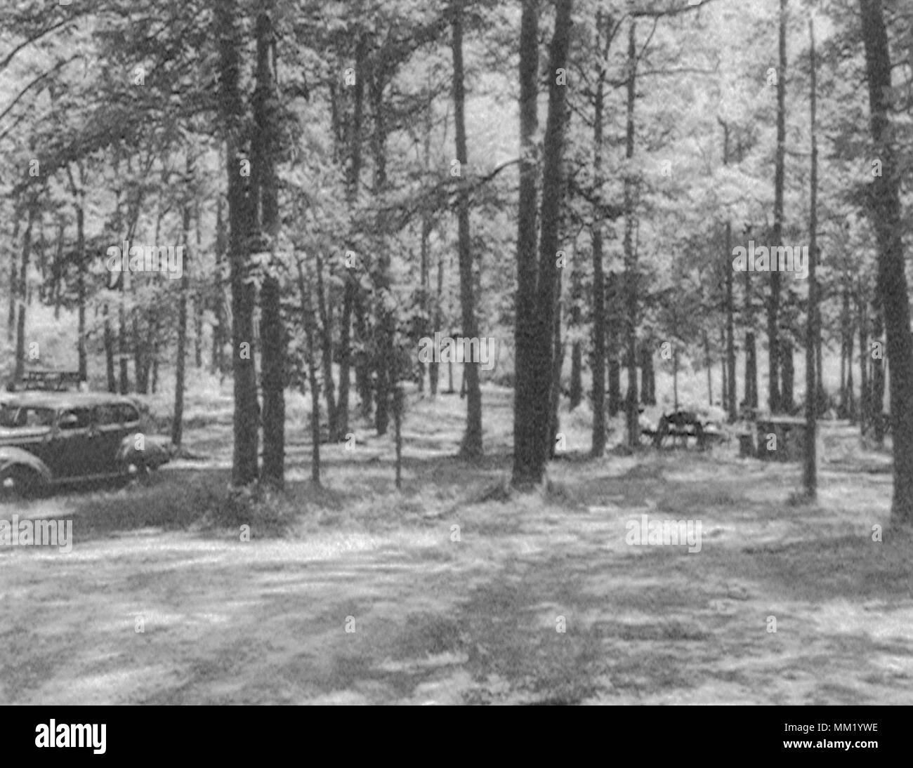 Picnic Grove at A. W. Stanley Park. New Britain. 1950 Stock Photo