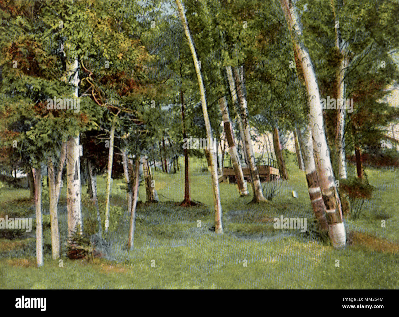 Lake House Grove. Rangeley.1905 Stock Photo Alamy