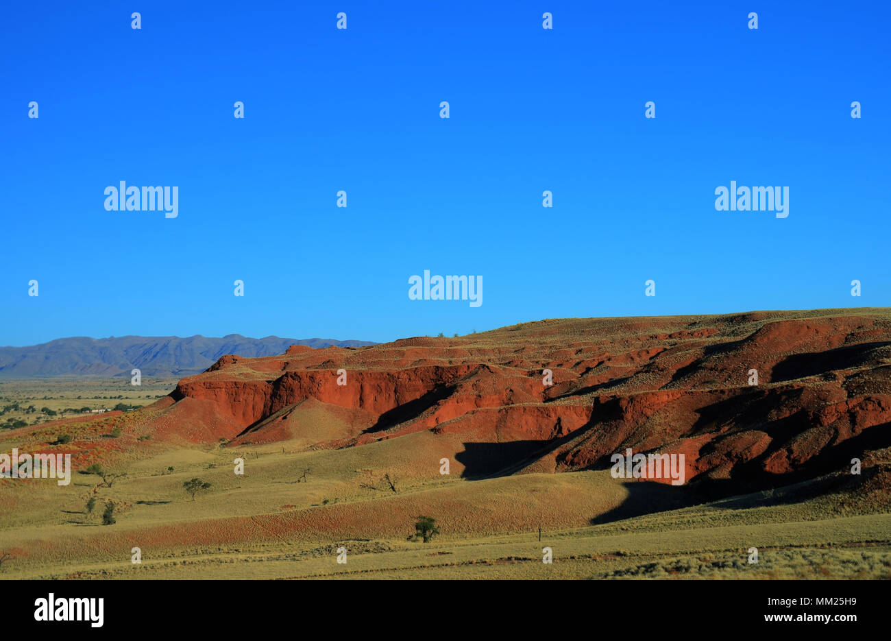 Petrified dunes at the sunset in Namib desert Stock Photo Alamy