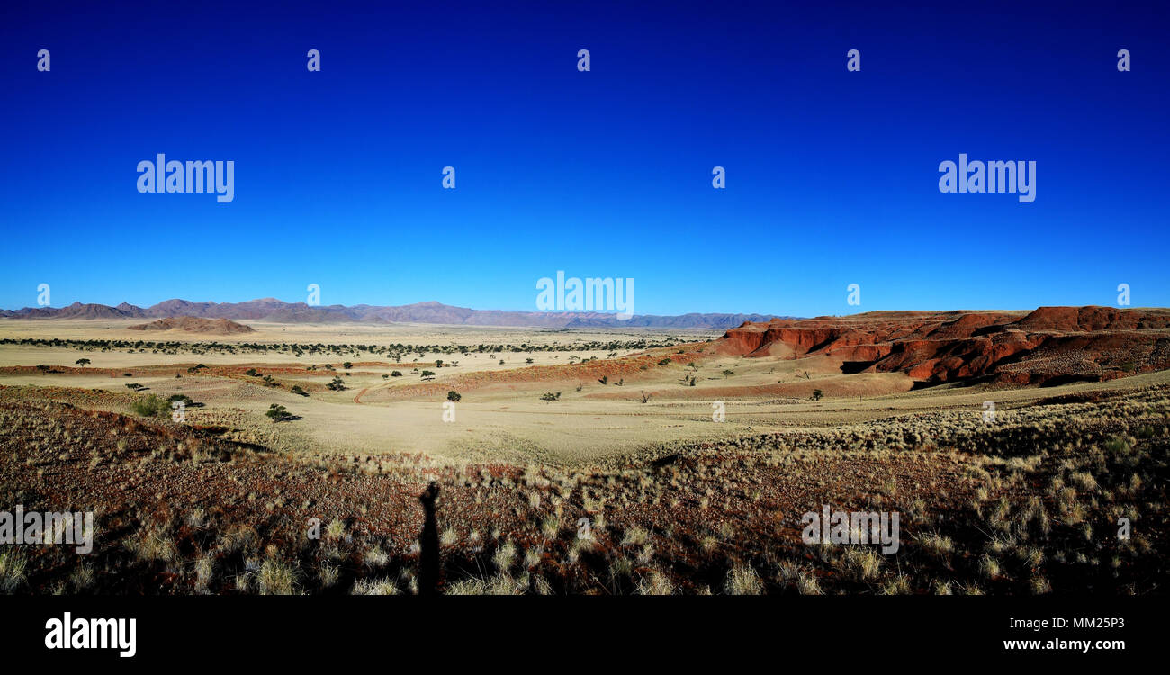 Petrified dunes at the sunset in Namib desert Stock Photo Alamy