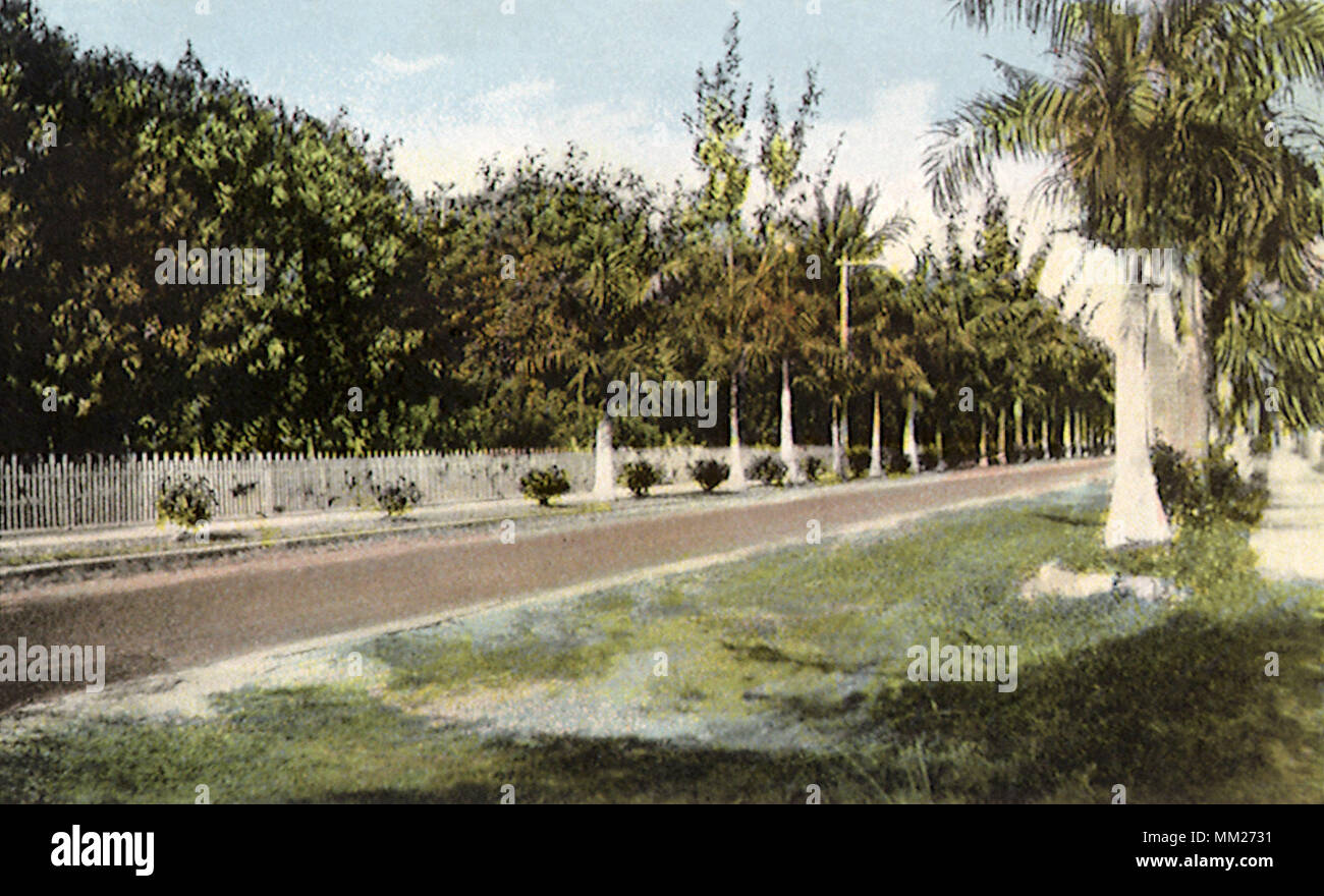 Drive along Edison Winter Home. Fort Myers. 1925 Stock Photo Alamy