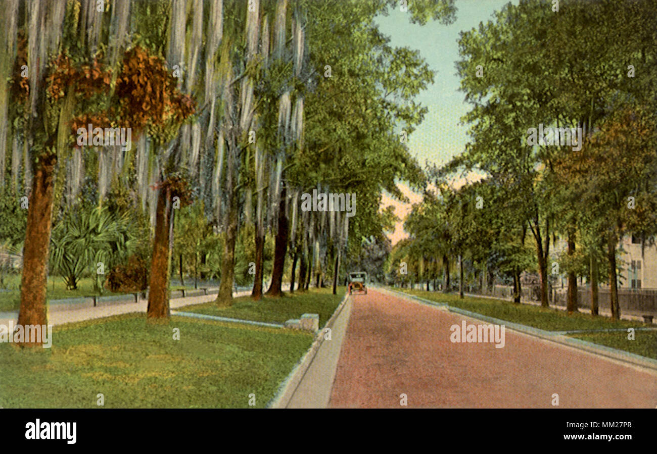 Third Street looking North. Palatka. 1913 Stock Photo