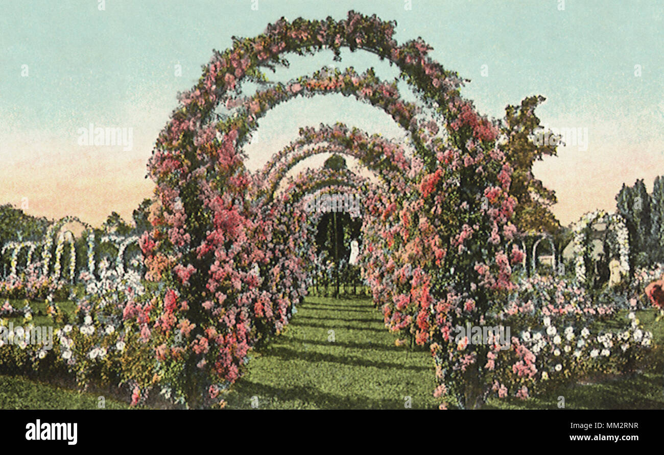 Rose Arbors in Elizabeth Park. Hartford. 1926 Stock Photo