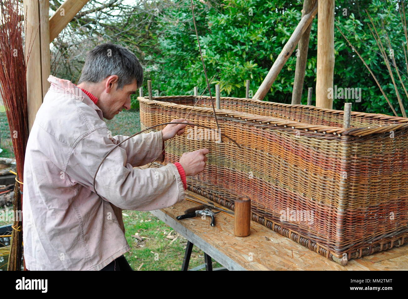 Making off a Wicker coffin for organic funeral Stock Photo Alamy