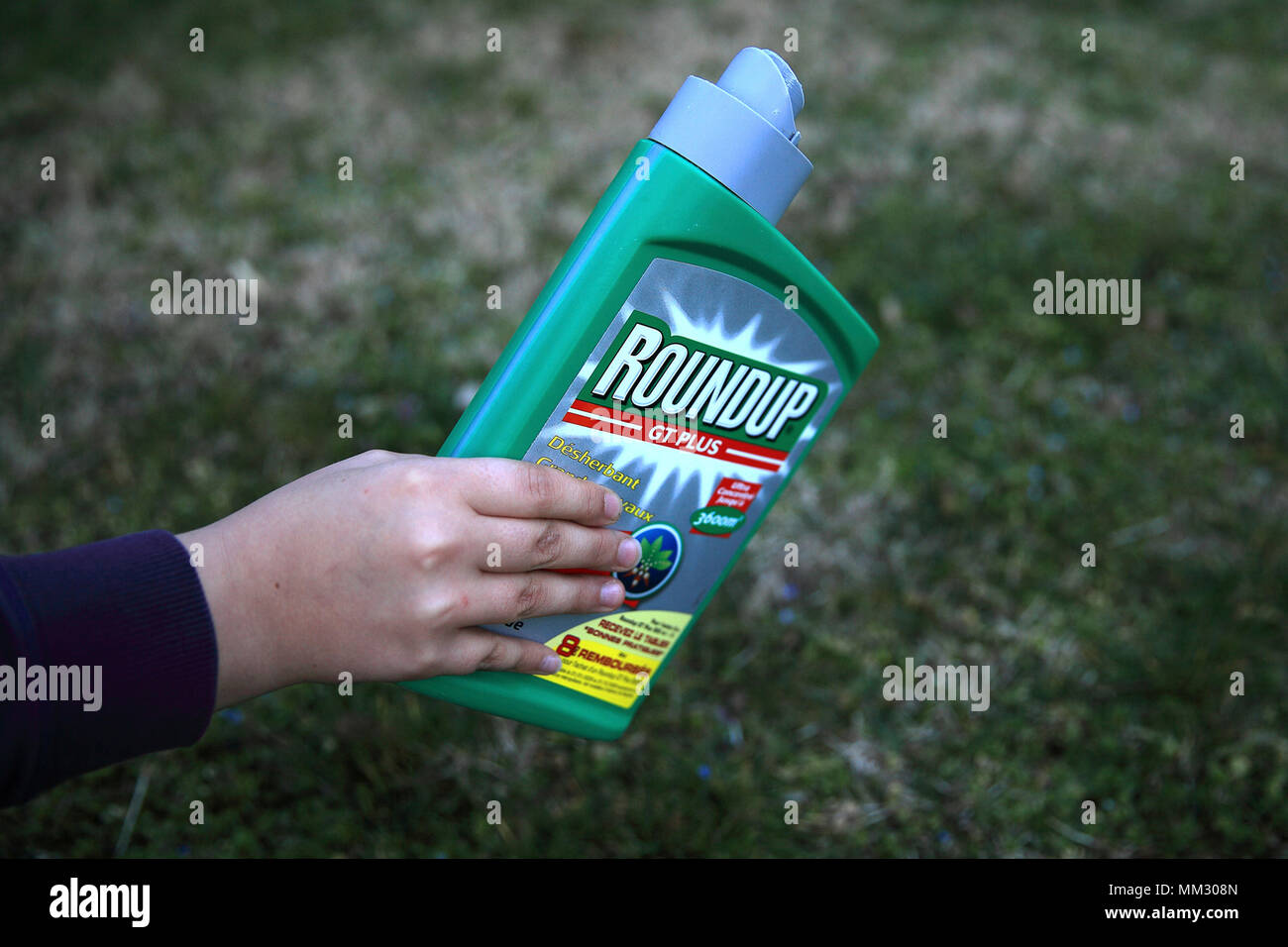 Use of Glyphosate (Roundup) weed killer in a garden, France Stock Photo