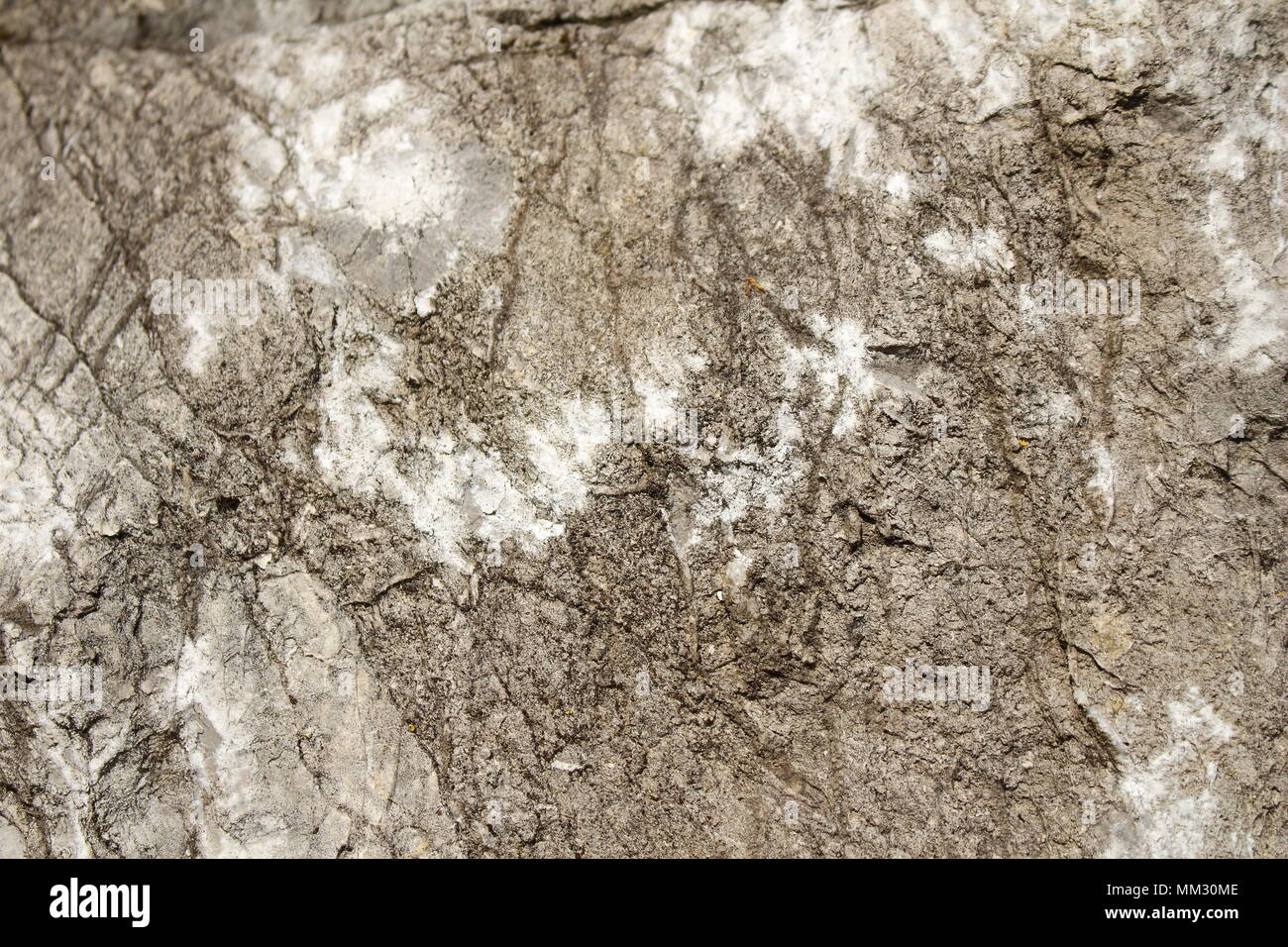 gray marble stone texture with white spots for photo studio background Stock Photo