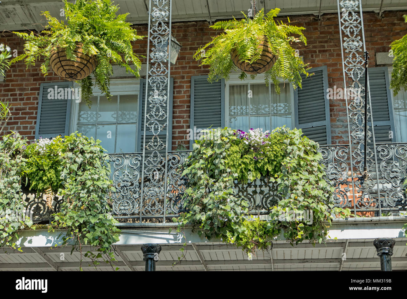 Hanging planters and window boxes hanging from a wrought iron balcony