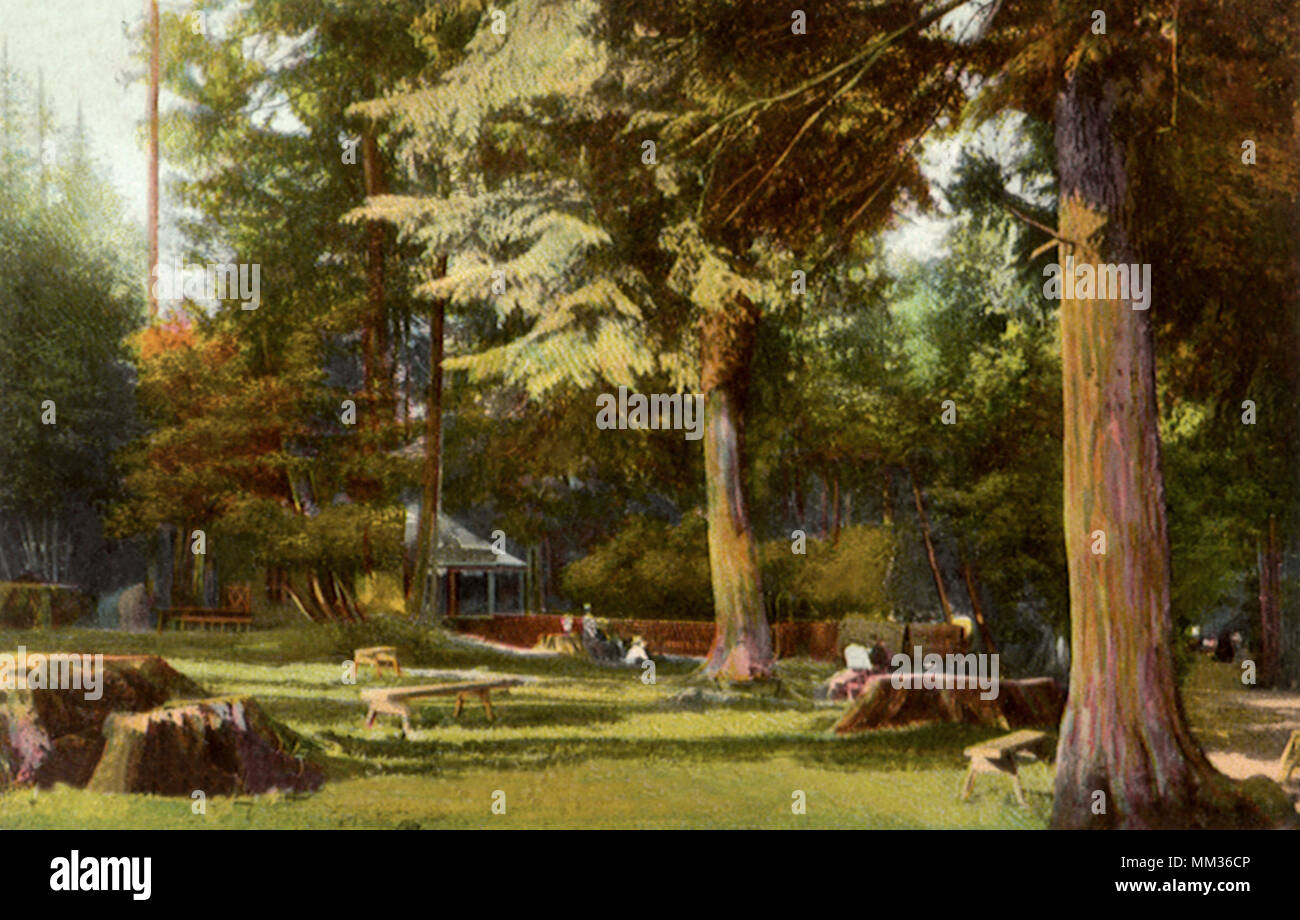 Stanley Park. Vancouver. 1910 Stock Photo - Alamy
