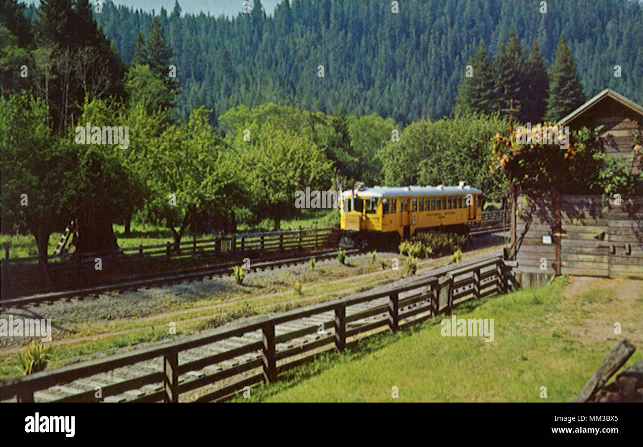 Skunk Railroad Line. Willits to Fort Bragg. 1965 Stock Photo - Alamy