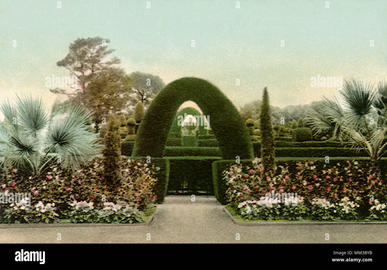 Maze at Hotel Del Monte. Near Monterey. 1910 Stock Photo Alamy