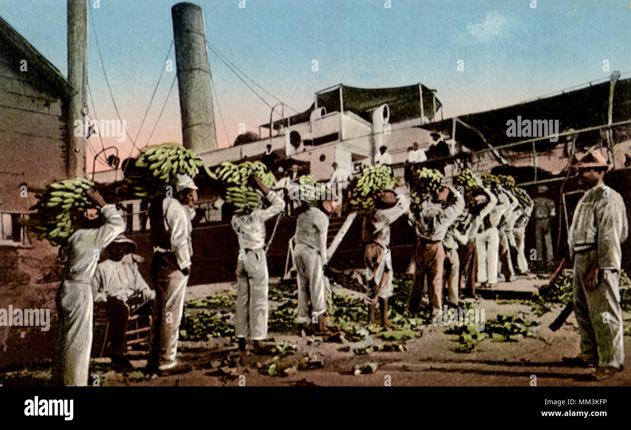 Loading Bananas Stock Photos & Loading Bananas Stock Images Alamy