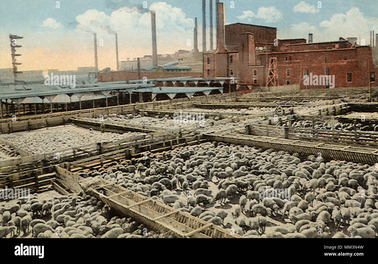 Union Stock Yards. South Omaha. 1922 Stock Photo Alamy