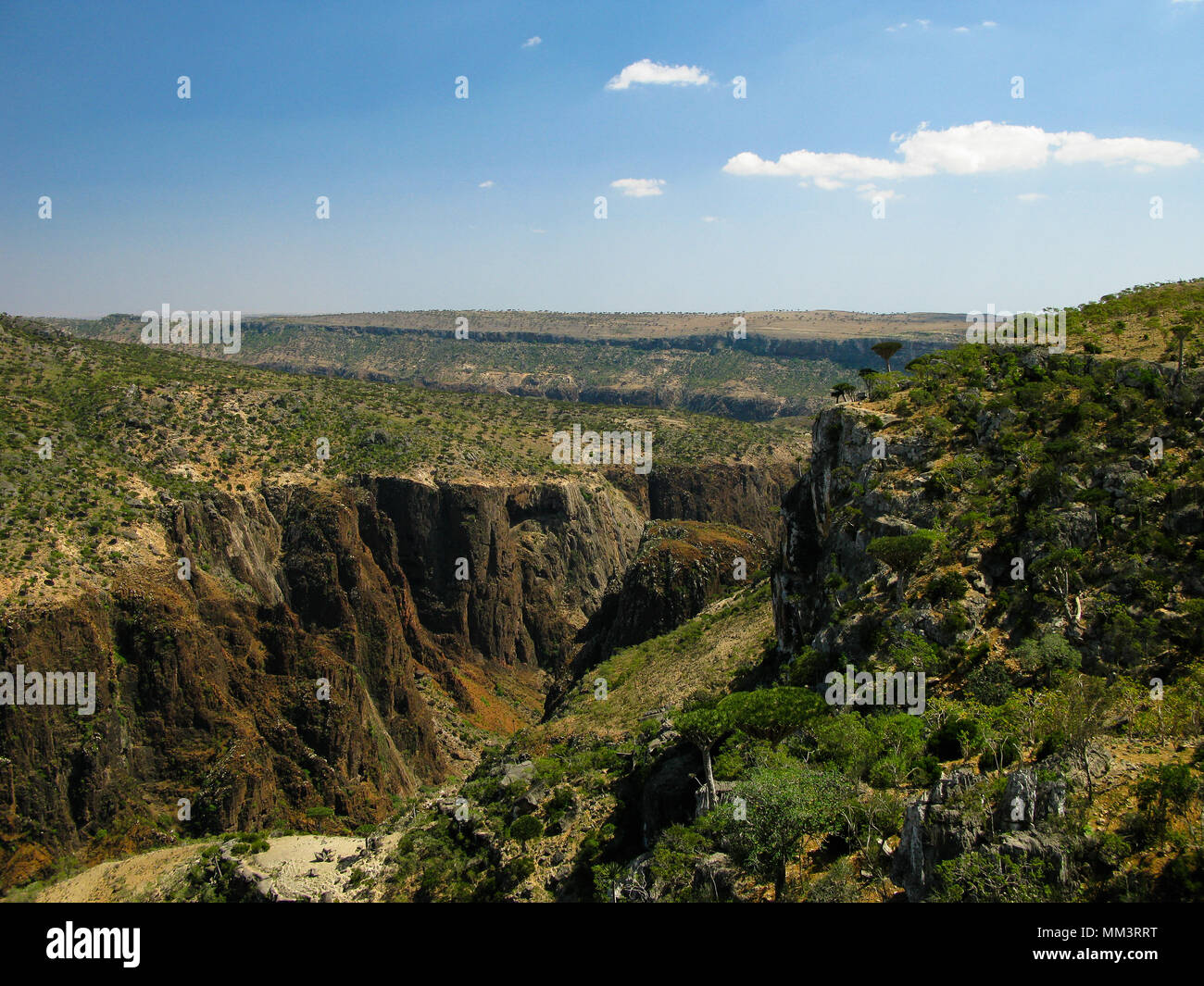 Panorama view to plateau Dixam and gorge Wadi Dirhur at Socotra island, Yemen Stock Photo