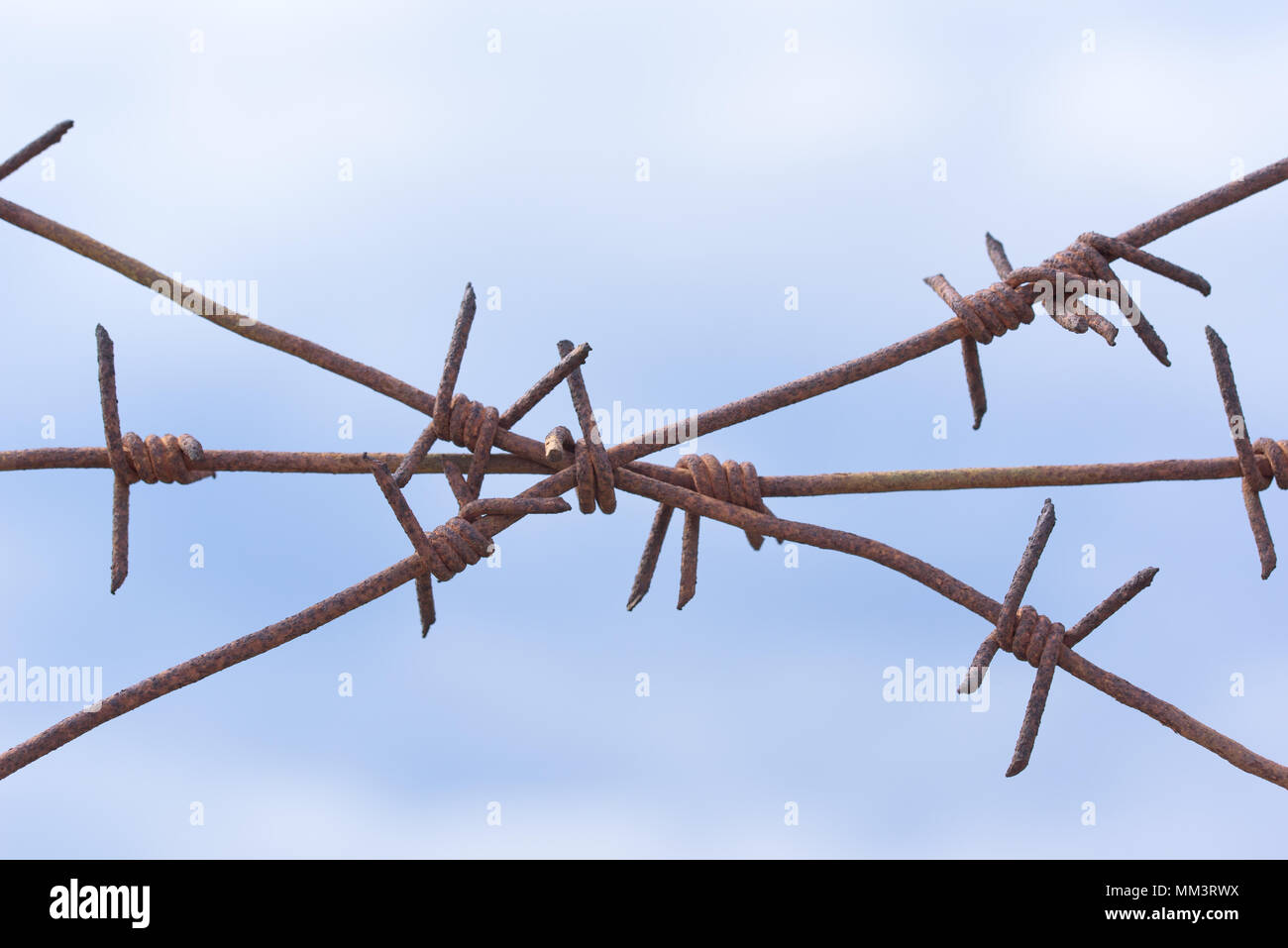 rusty barbed wire Stock Photo Alamy