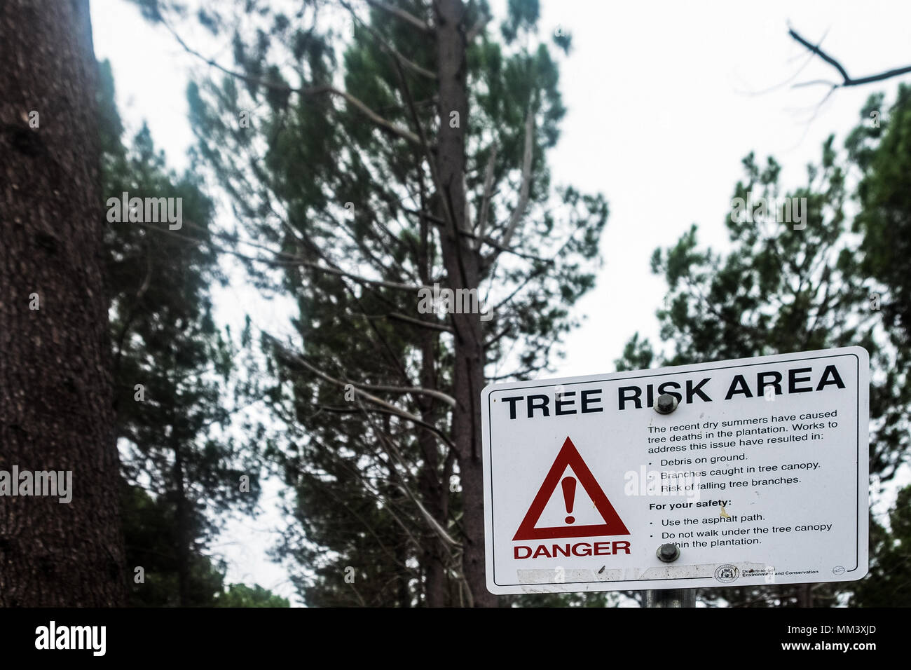 tree risk area wanneroo west australia Stock Photo