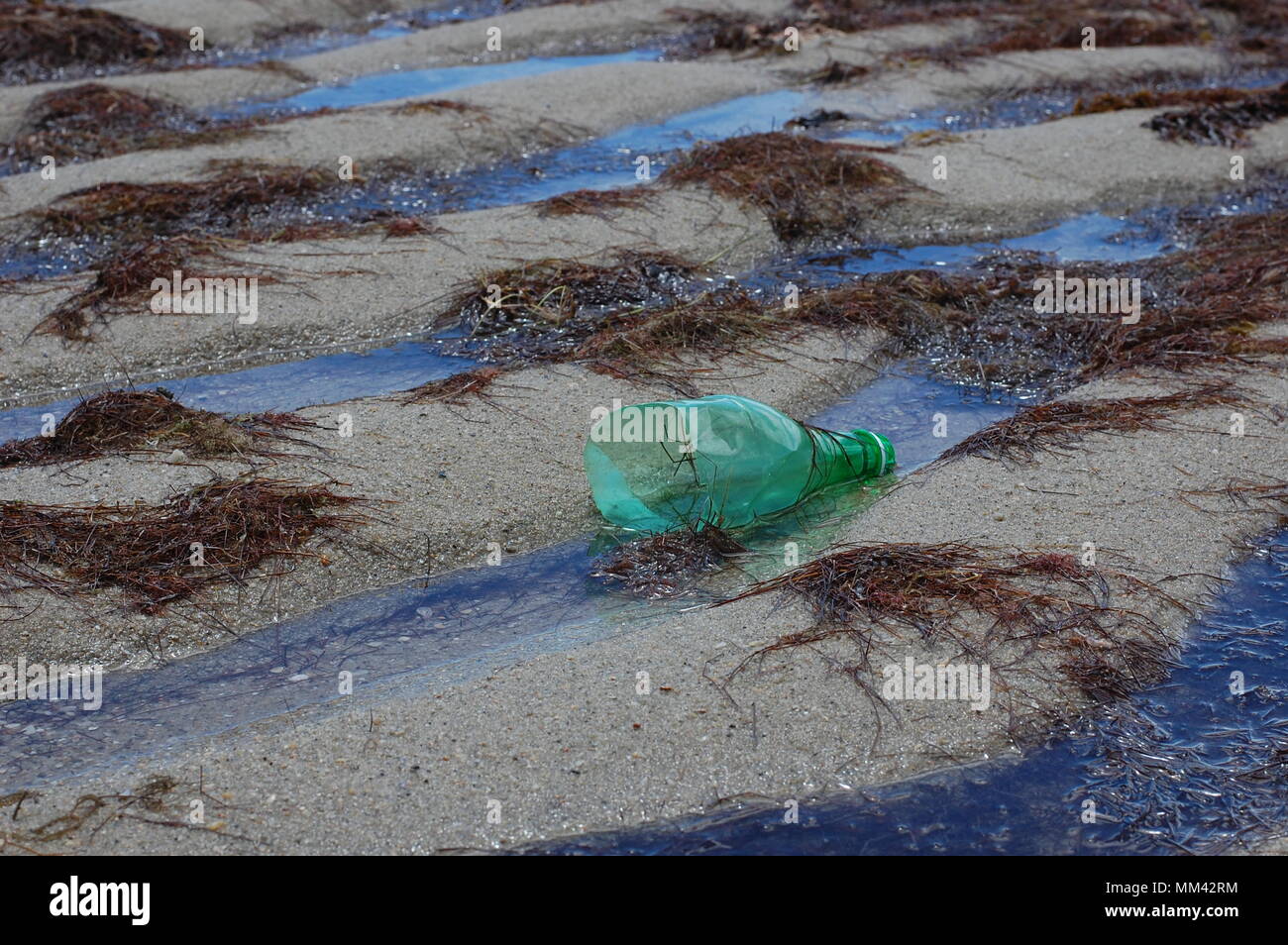Garbage on the beach Stock Photo - Alamy