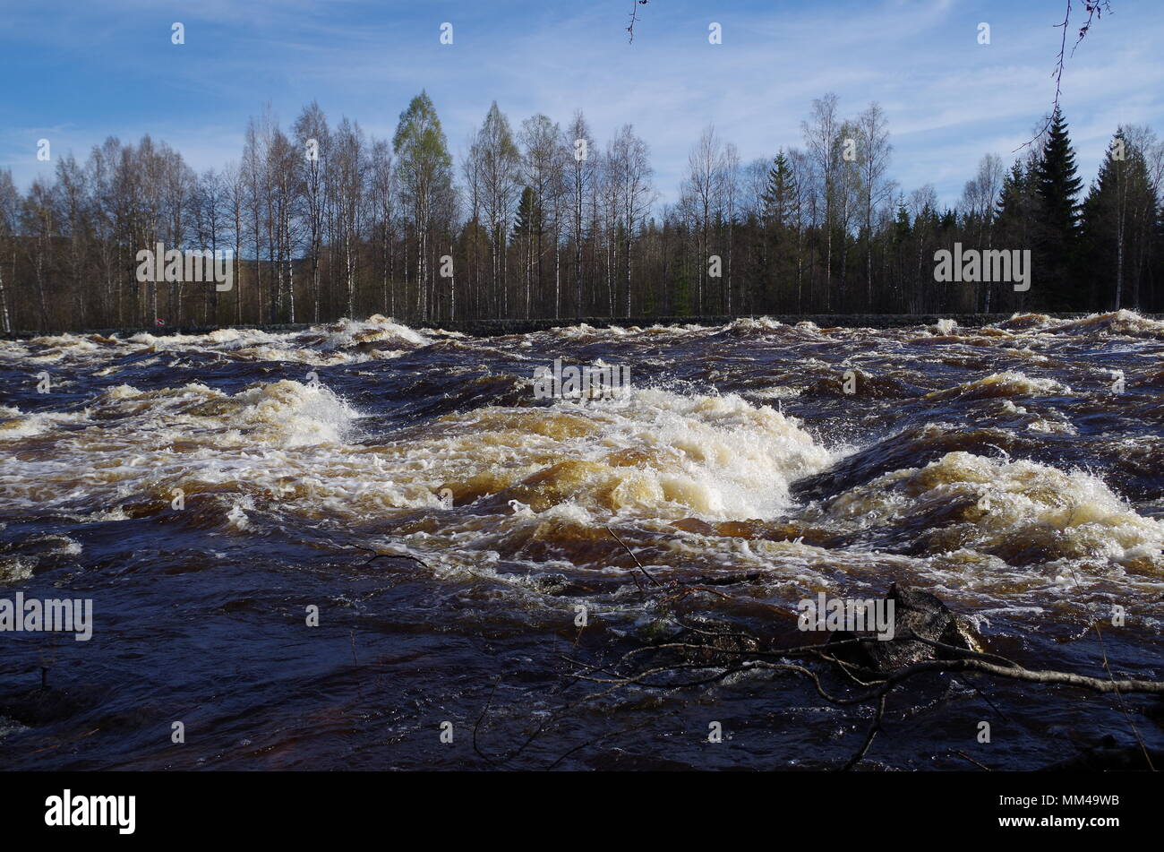 Big waves in a raging river in Dalarna Stock Photo - Alamy