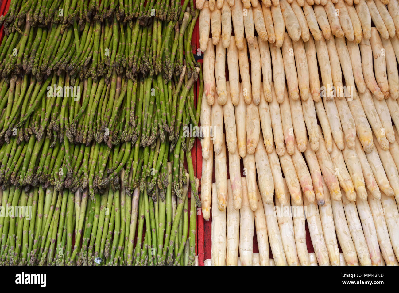 Wild asparagus and cultivated asparagus (at right) in the Hotorget street food market. Stockholm, Sweden Stock Photo