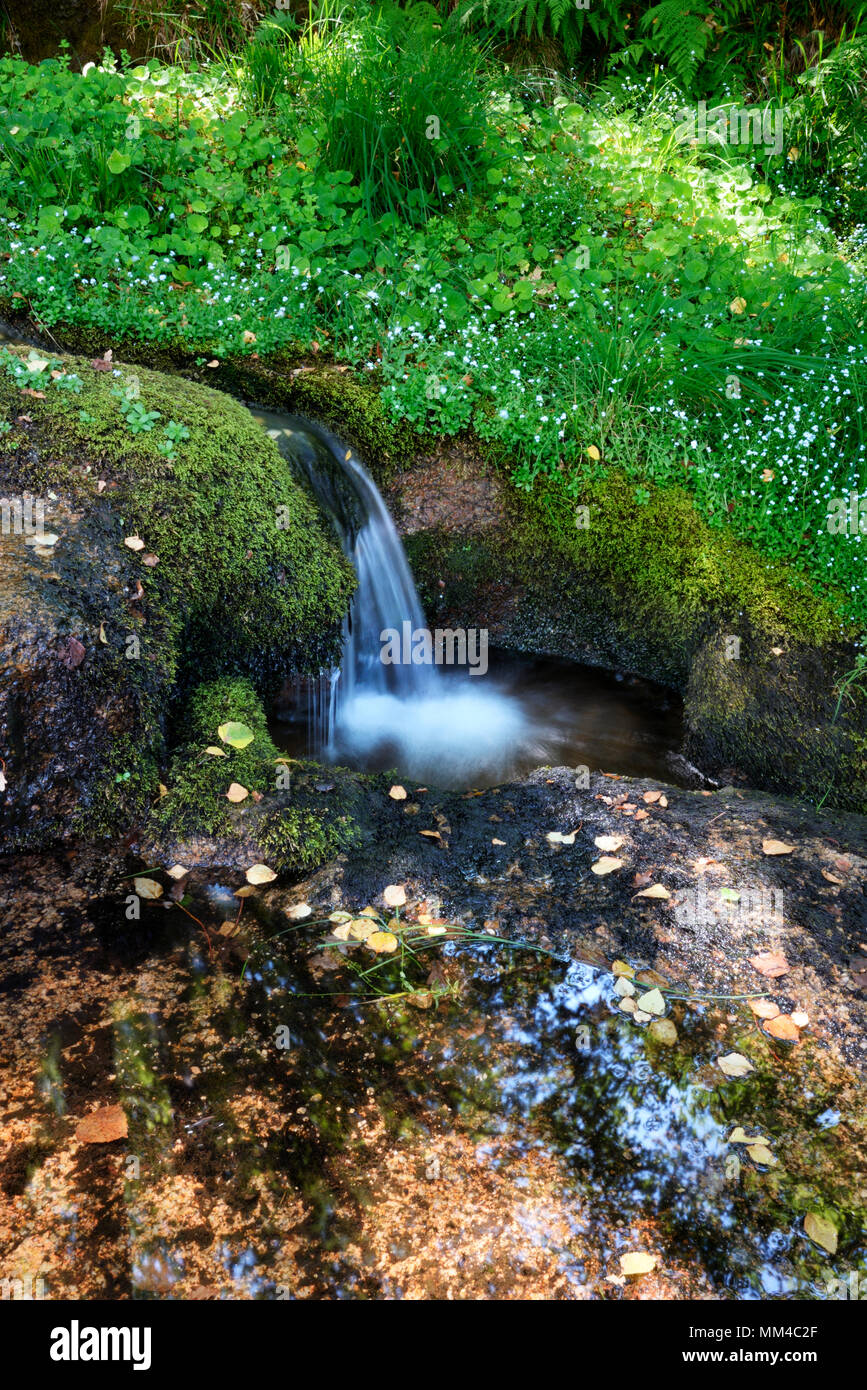 A brook in Castro Laboreiro. Peneda Gerês National Park. Portugal Stock Photo