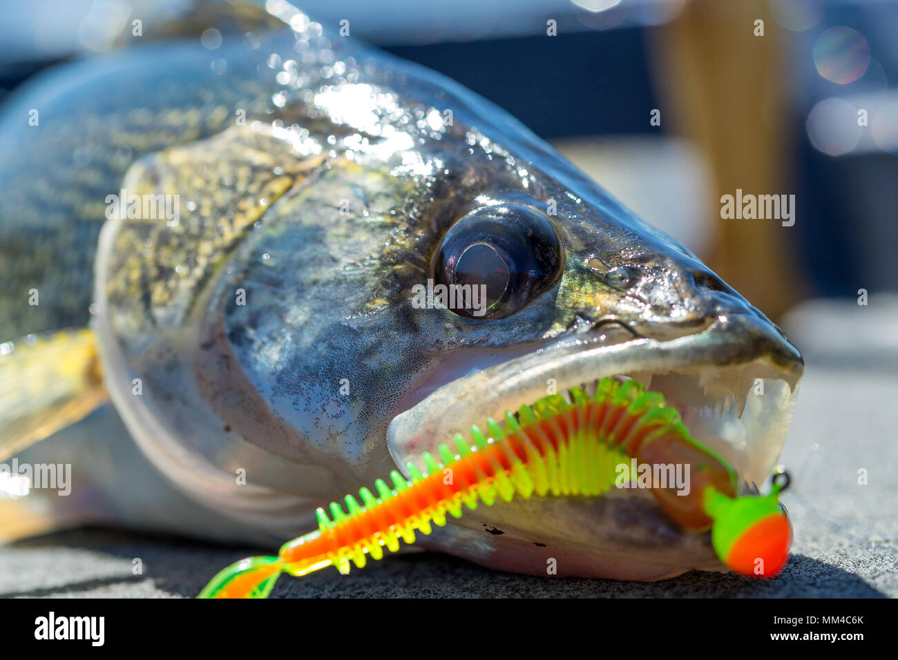 Jig and plastic hi-res stock photography and images - Alamy